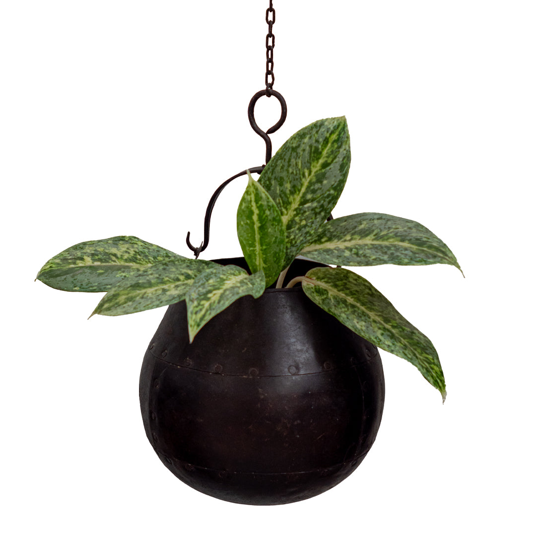 Hanging Round Metal Planter