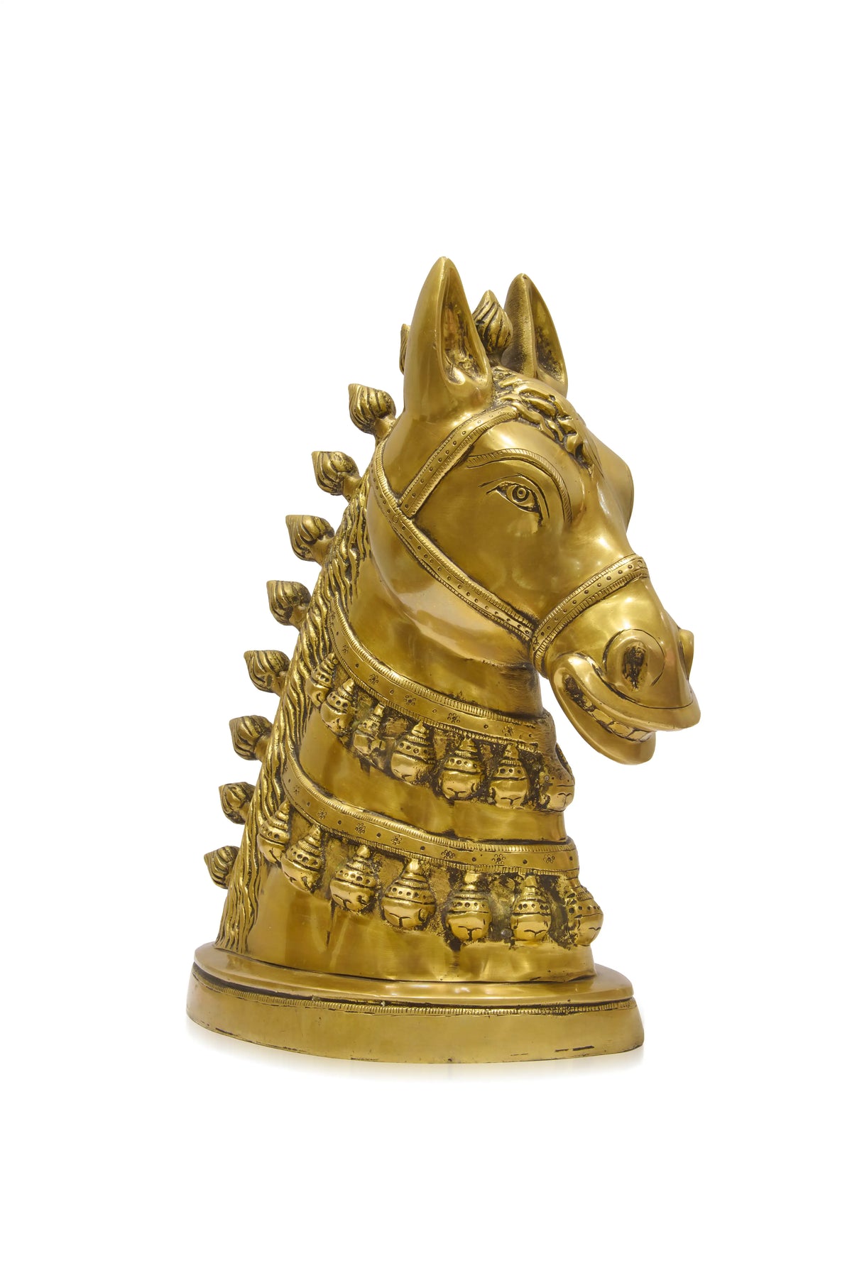 Horse Head