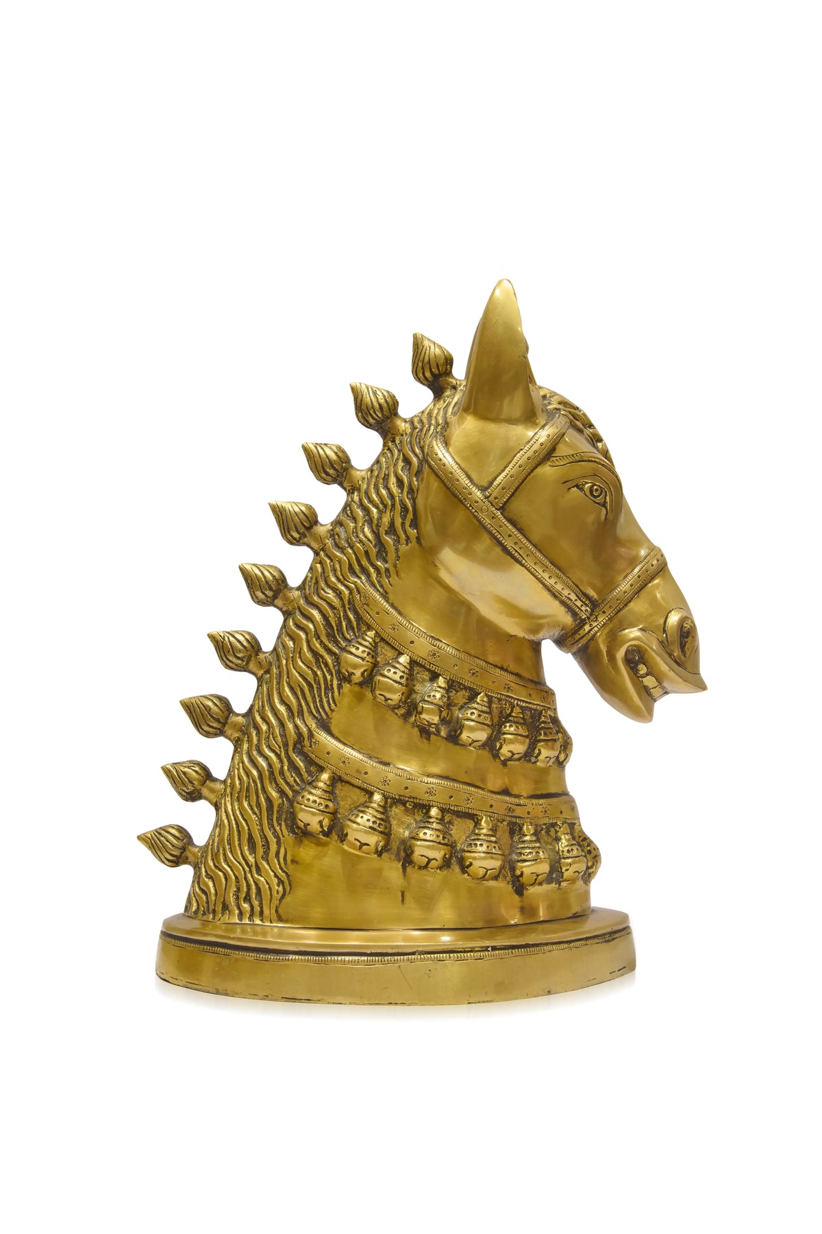 Horse Head