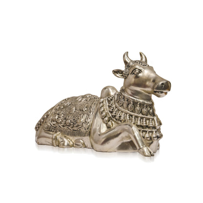 silver Nandi