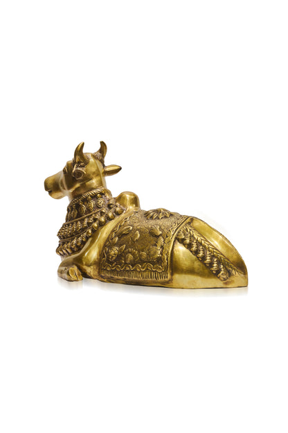 Golden Brass Nandi