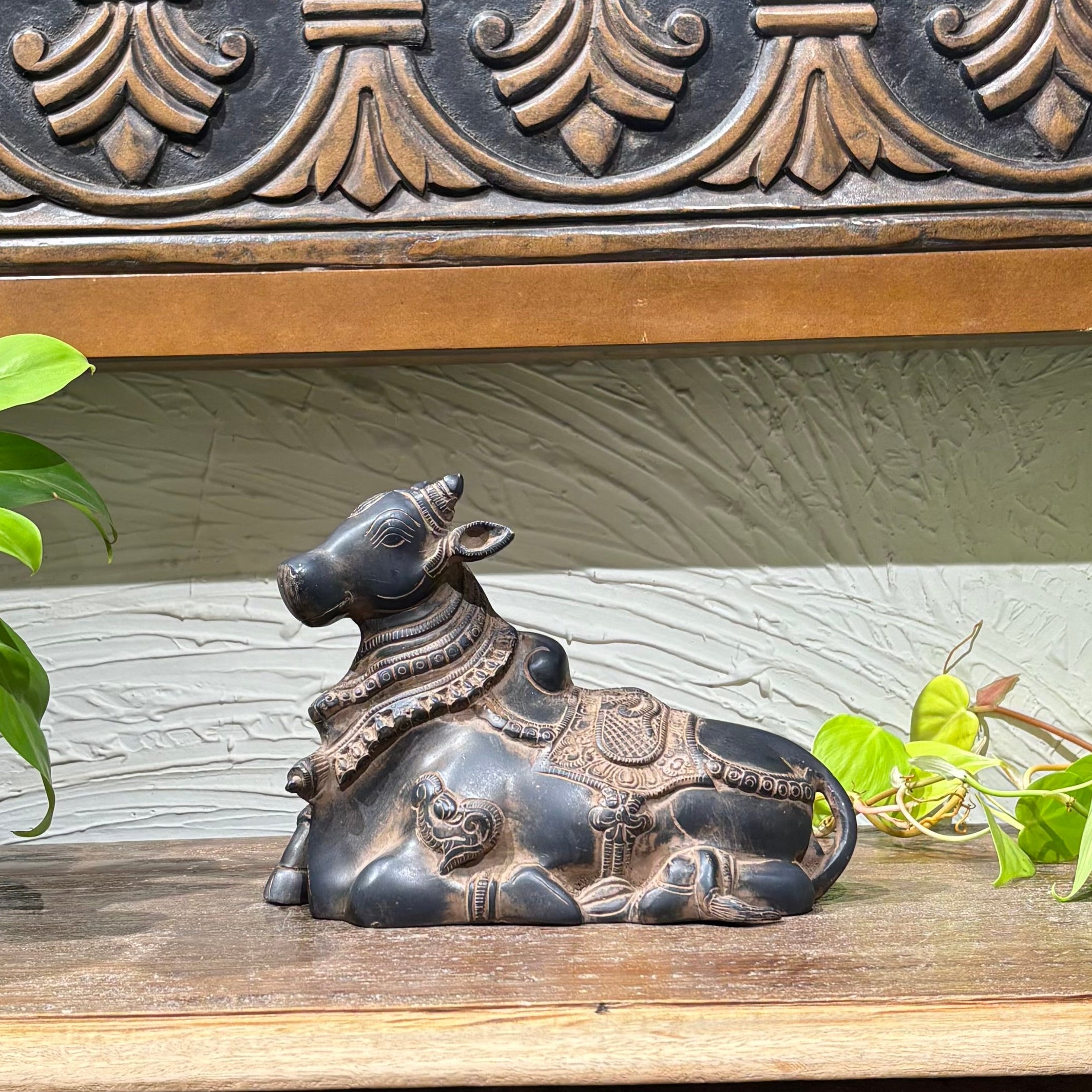 Antique Black finish Brass Nandi