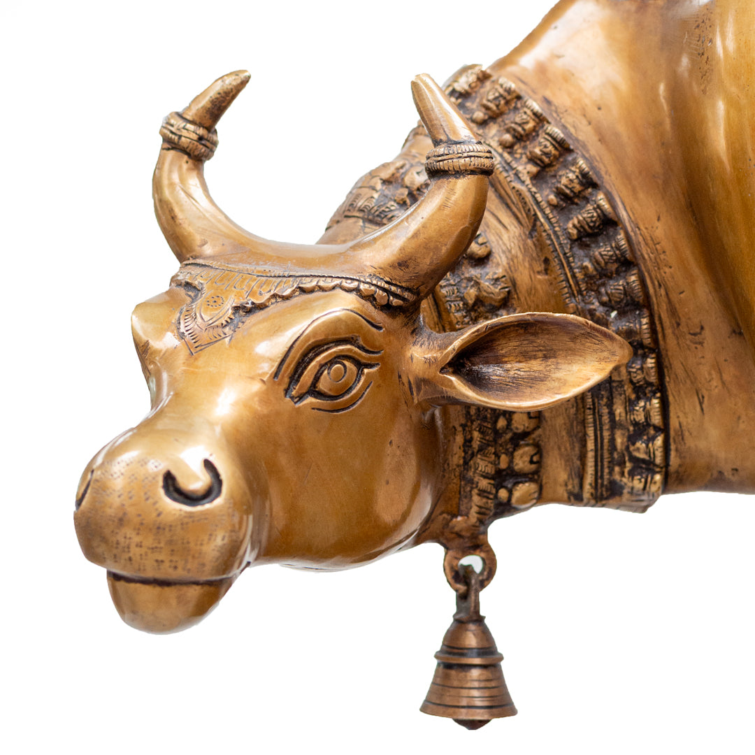 Kamadhenu (Holy Cow)