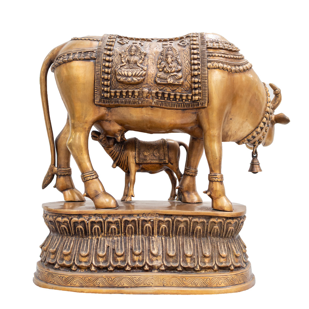Kamadhenu (Holy Cow)