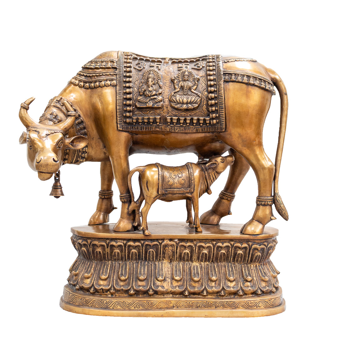 Kamadhenu (Holy Cow)