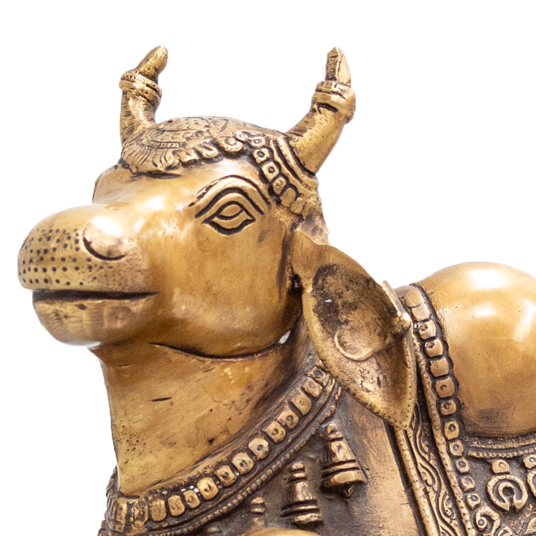 Sitting Nandi