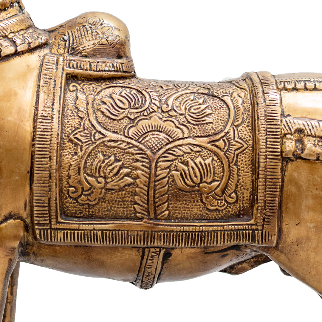 Standing Nandi