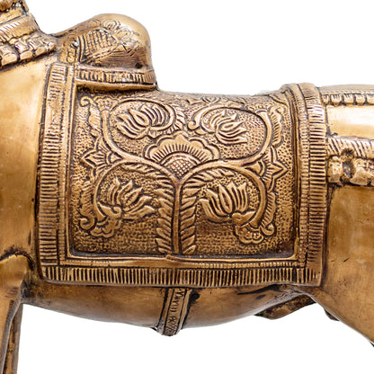 Standing Nandi