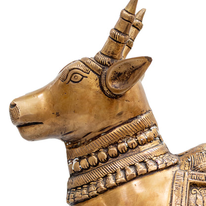 Standing Nandi