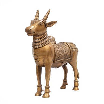 Standing Nandi