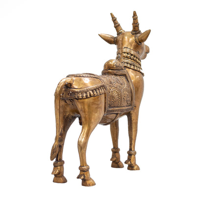 Standing Nandi
