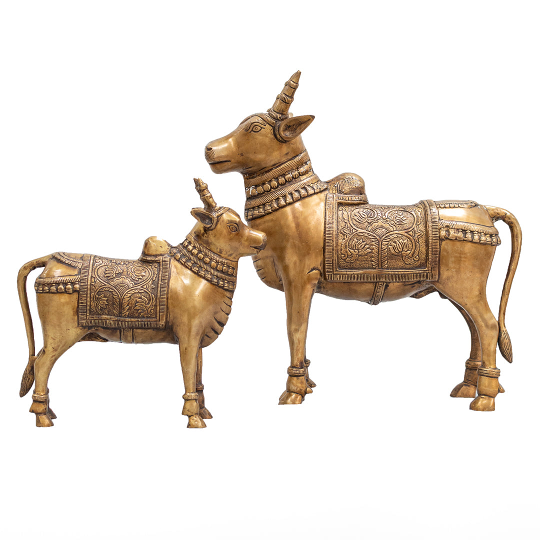 Standing Nandi