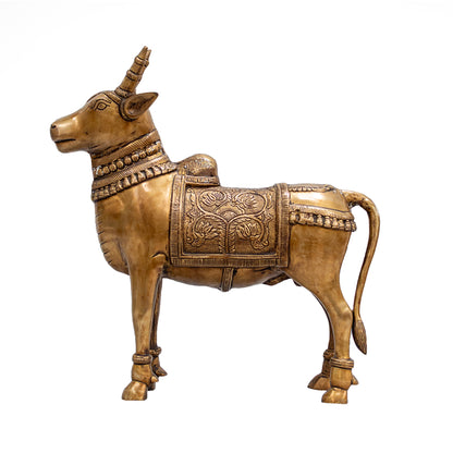 Standing Nandi