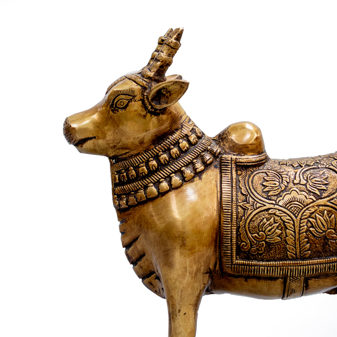 Standing Nandi