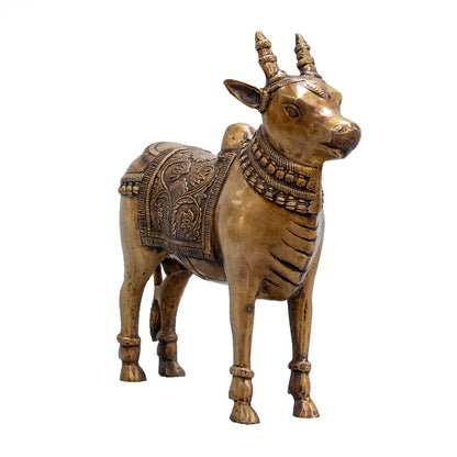 Standing Nandi