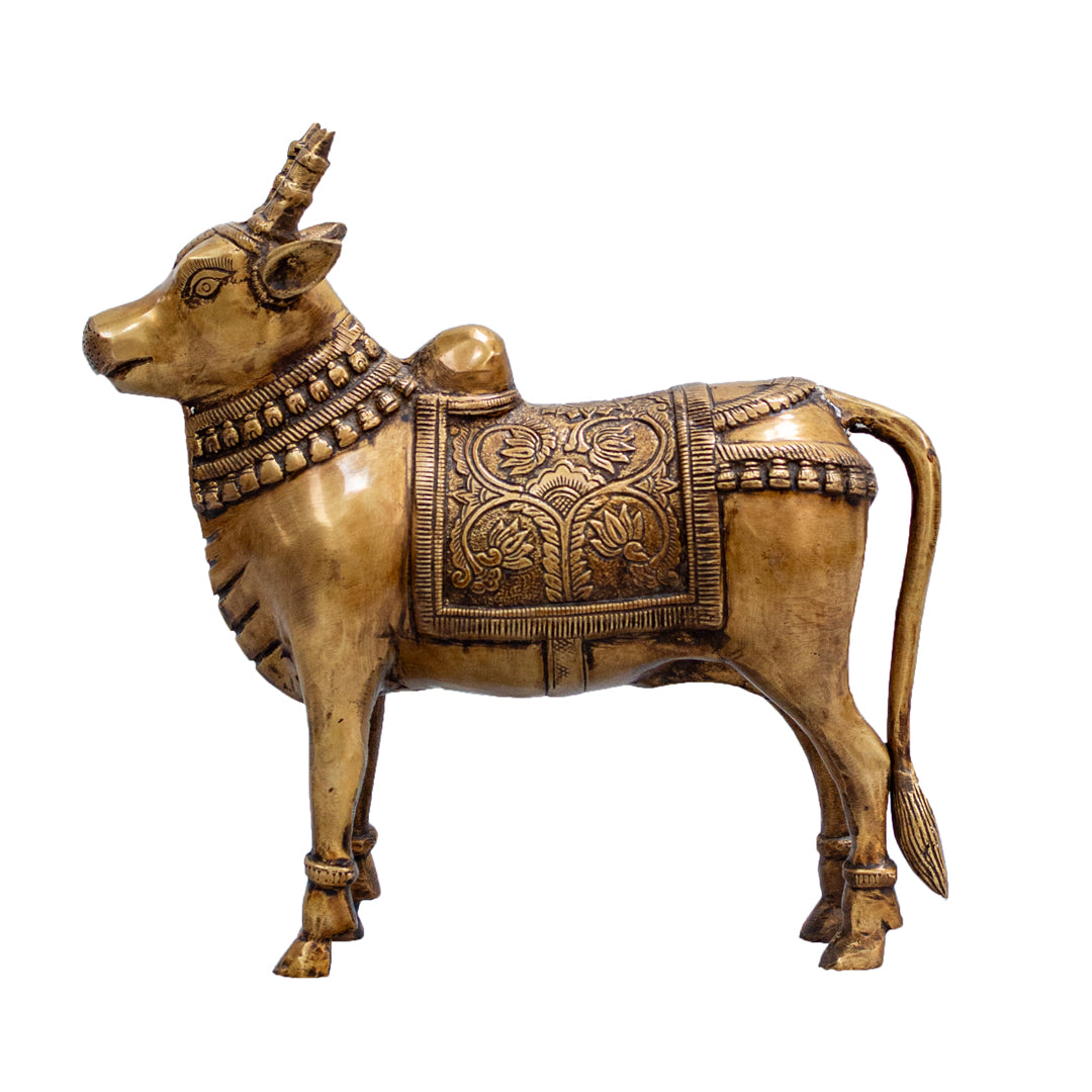 Standing Nandi